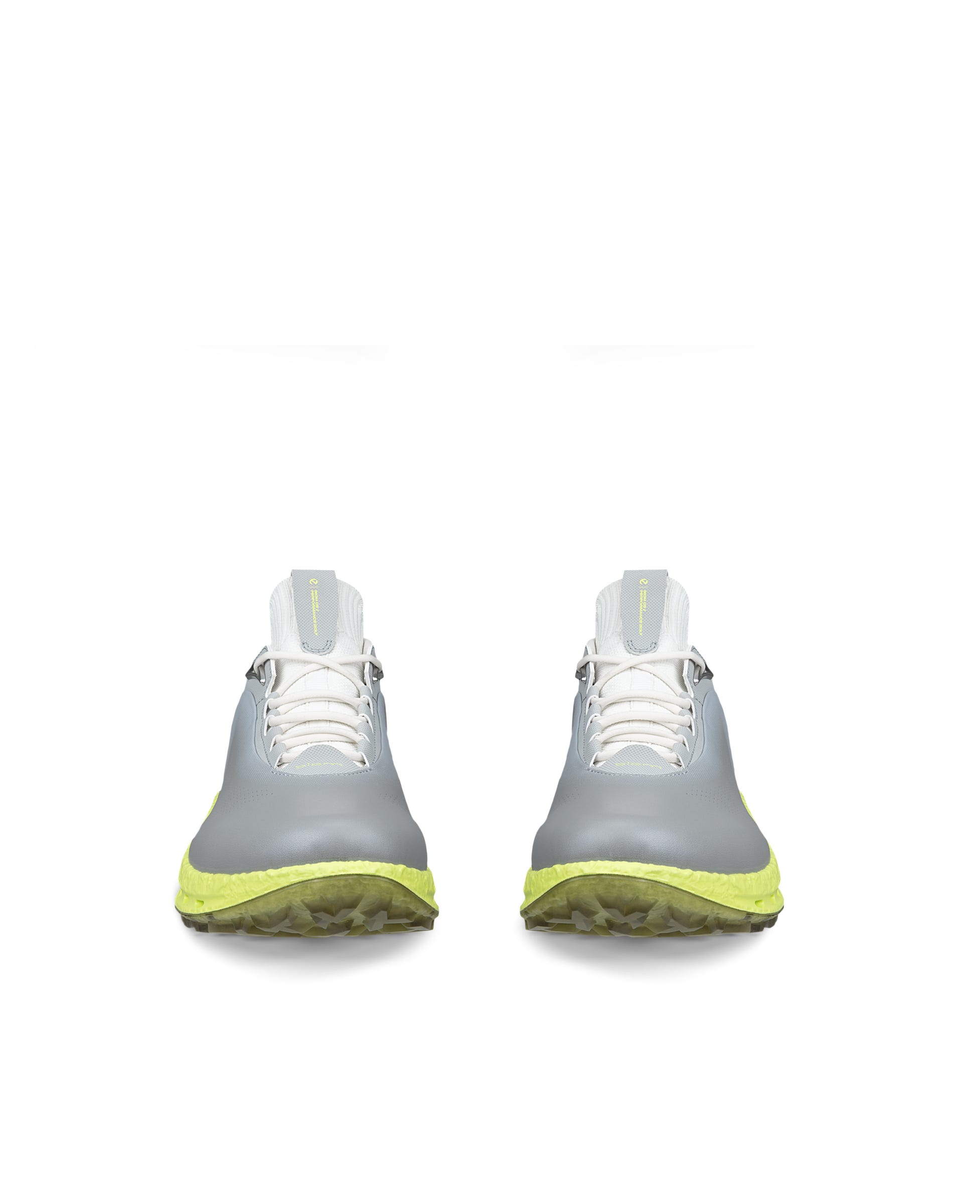 Men's ECCO® Golf Biom C5 Leather Gore-Tex Golf Shoe - Gray - Front pair