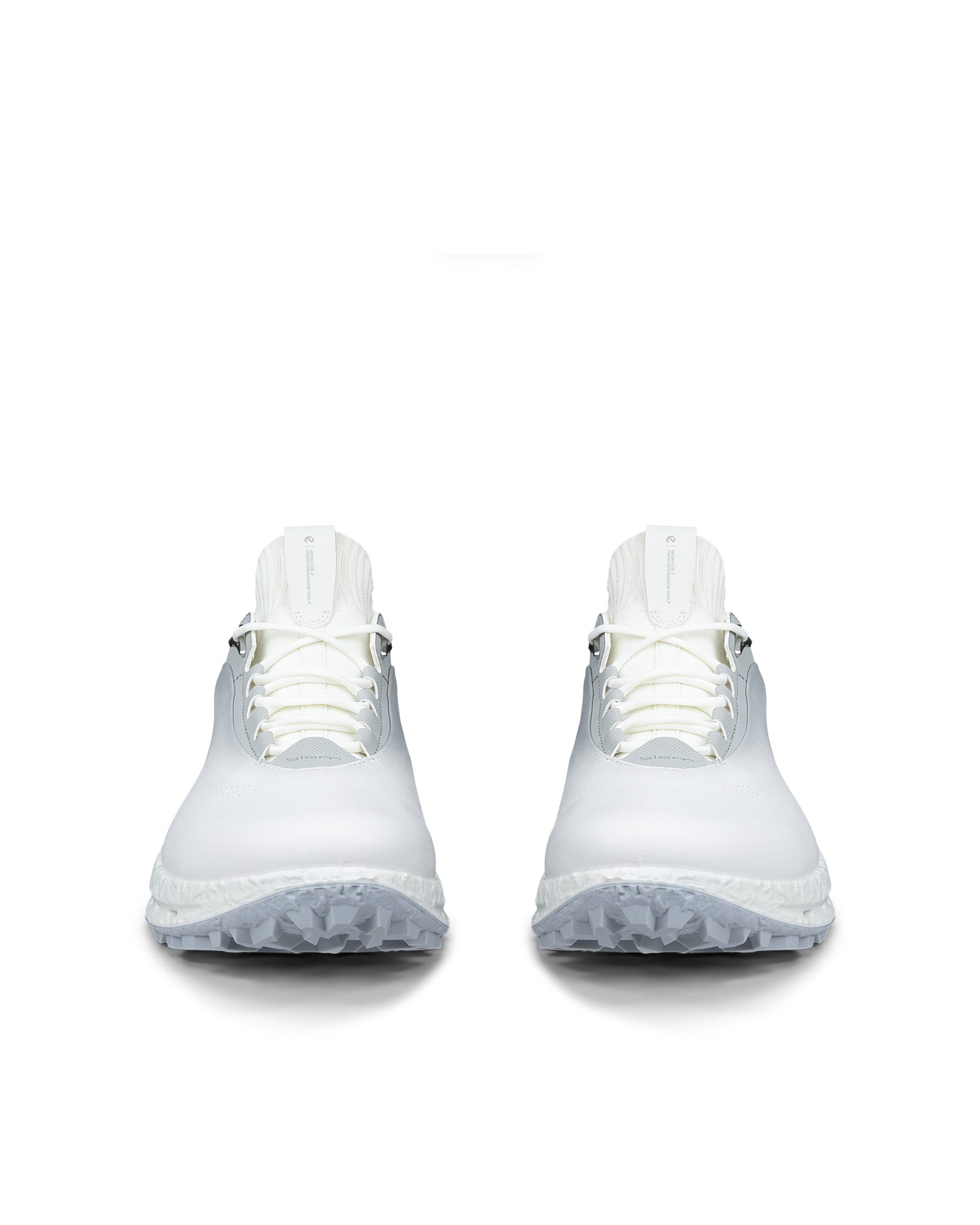 ECCO GOLF BIOM C5 MEN メンズ レザーGore-Texゴルフシューズ | ホワイト