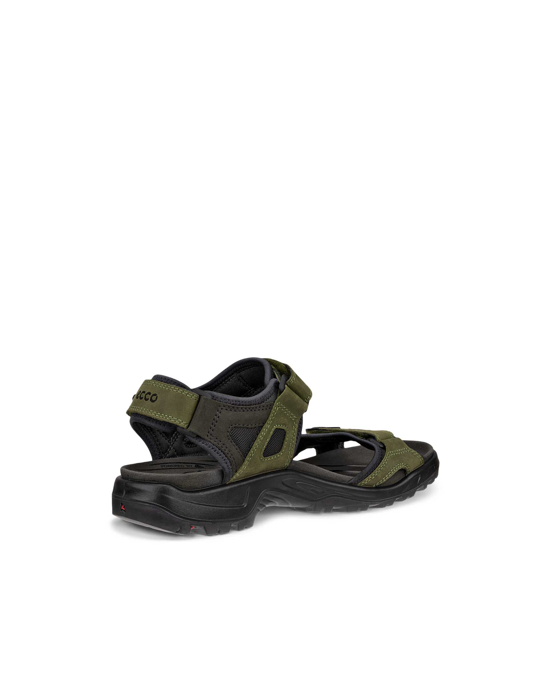 ECCO® Offroad sandale de marche en nubuck  pour homme - Vert - Back