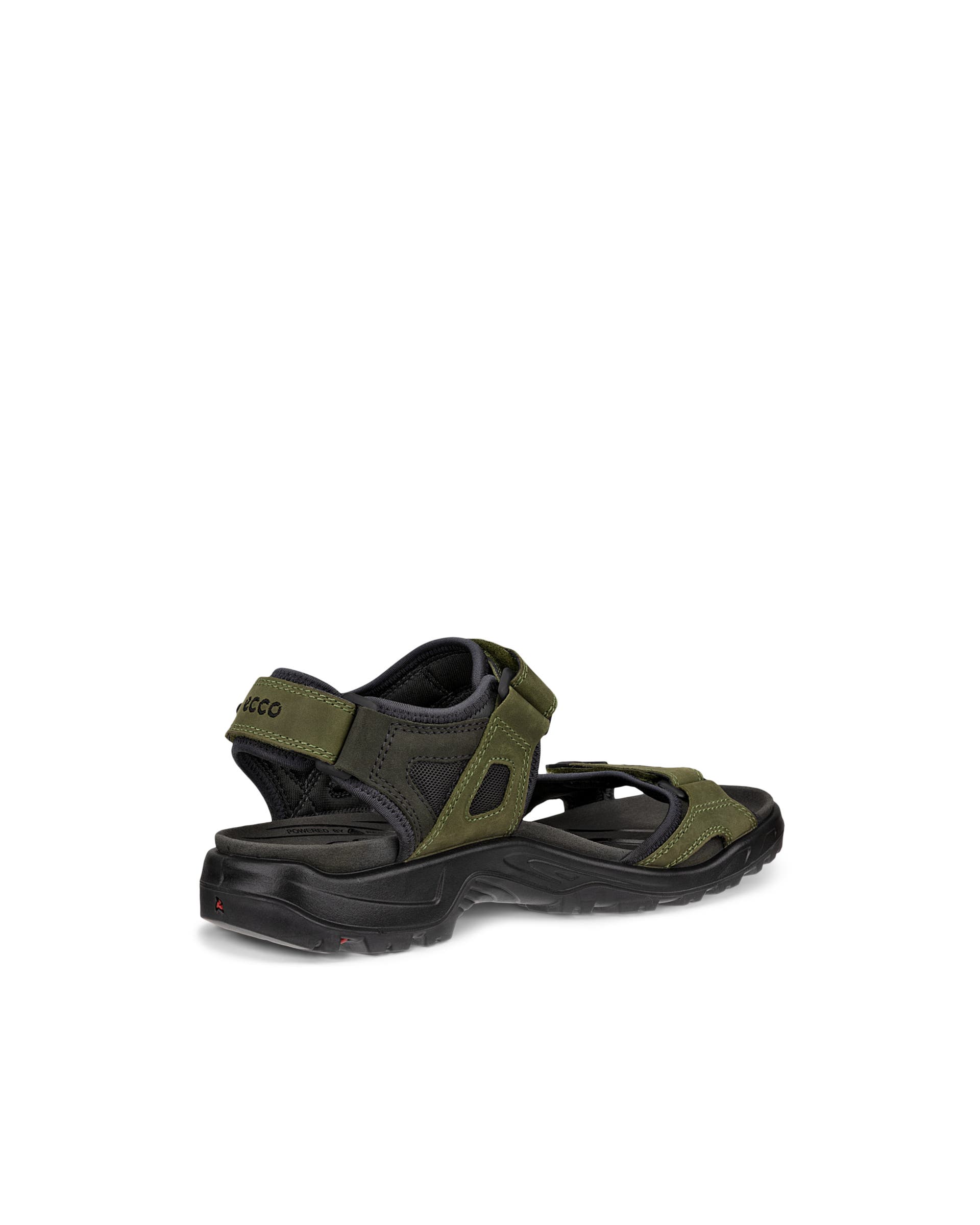 ECCO OFFROAD MEN'S SANDAL - Green - Back