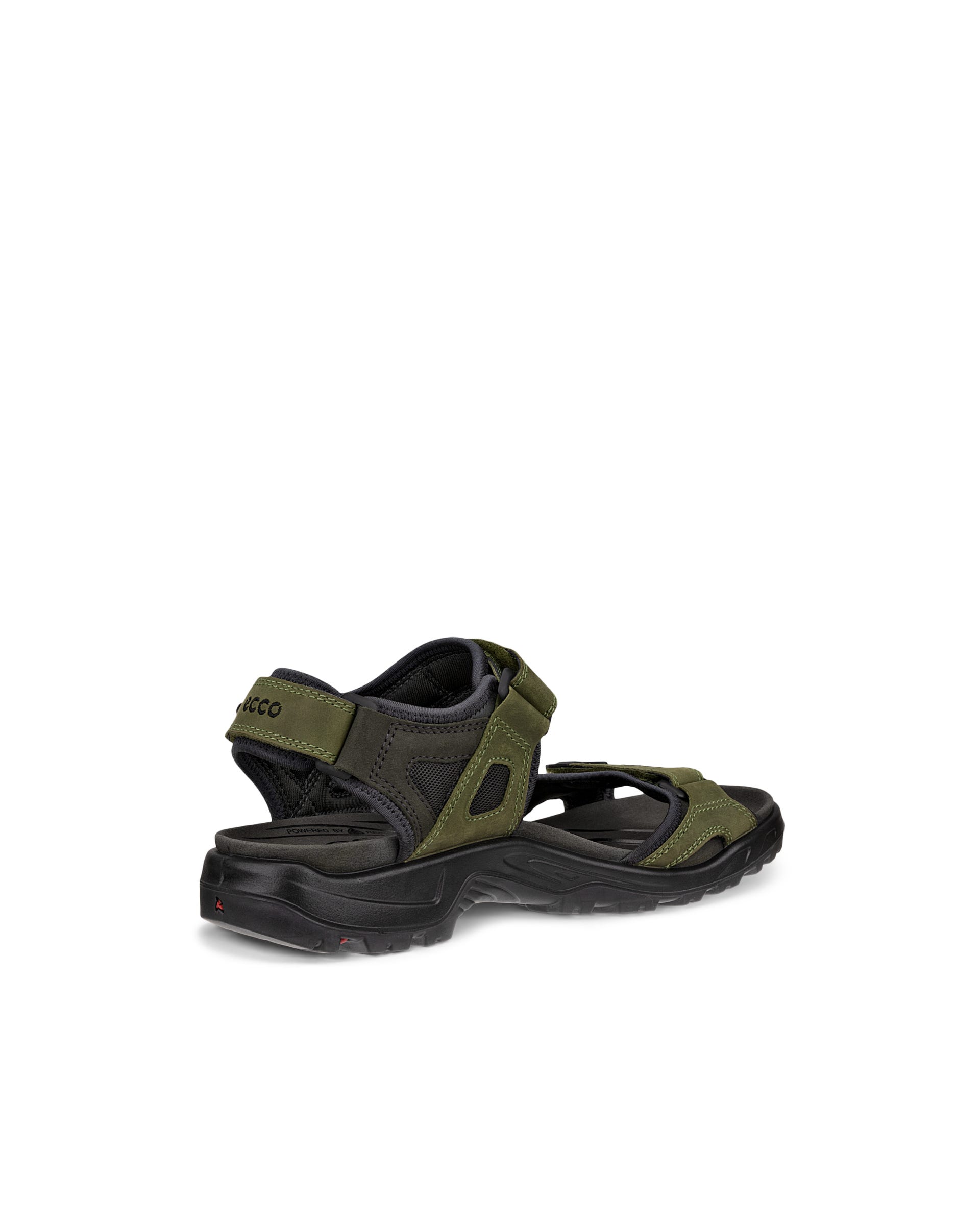 ECCO OFFROAD MEN'S SANDAL - Green - Back