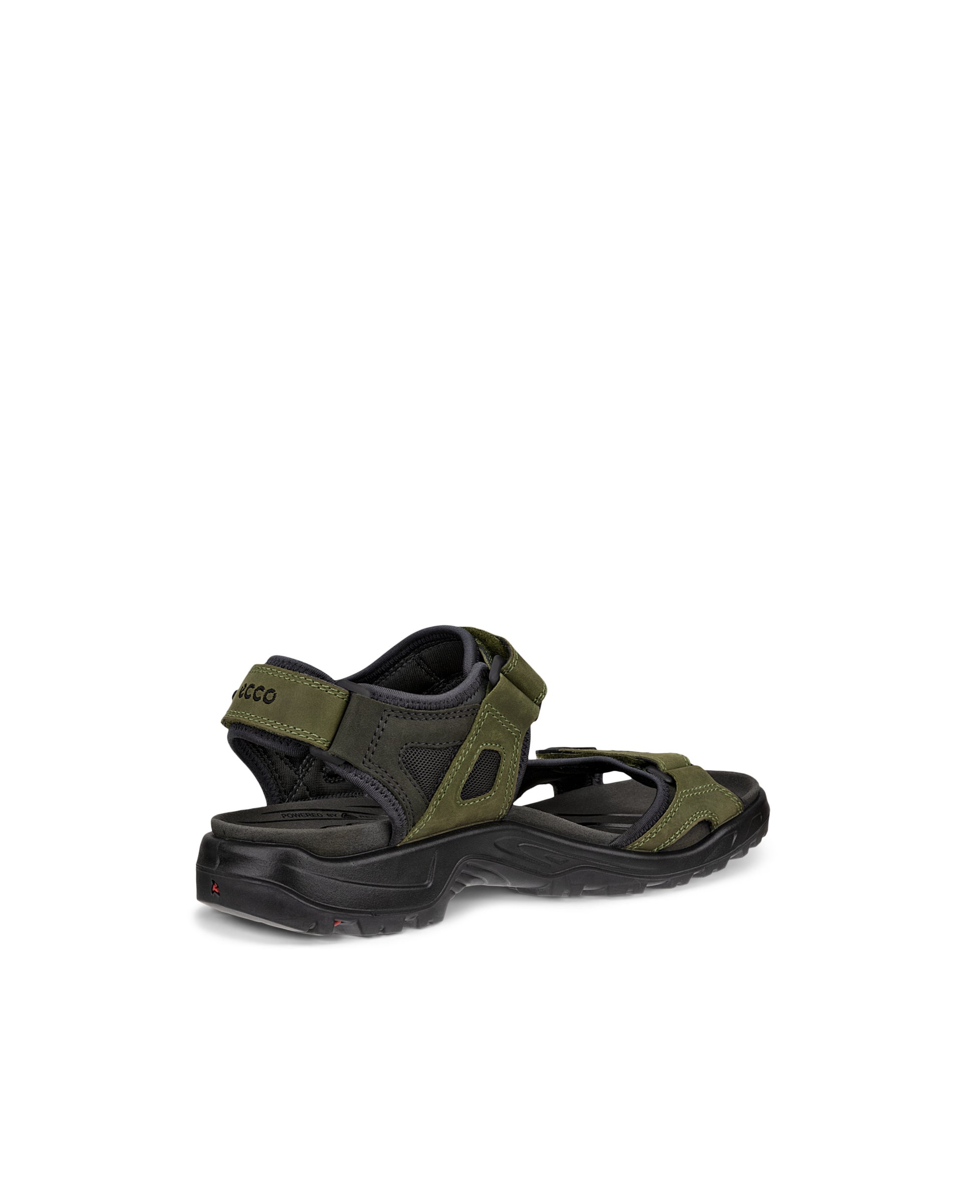 ECCO OFFROAD MEN'S SANDAL - Green - Back