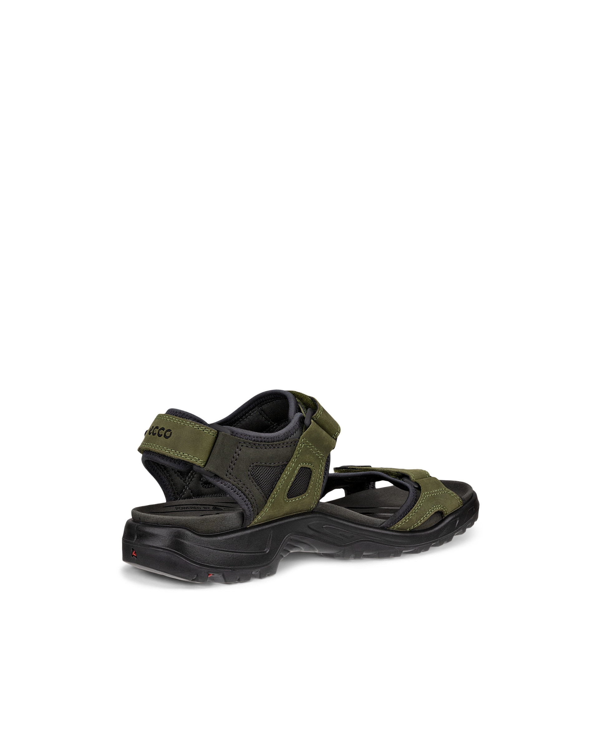 ECCO® Offroad sandale de marche en nubuck  pour homme - Vert - Back