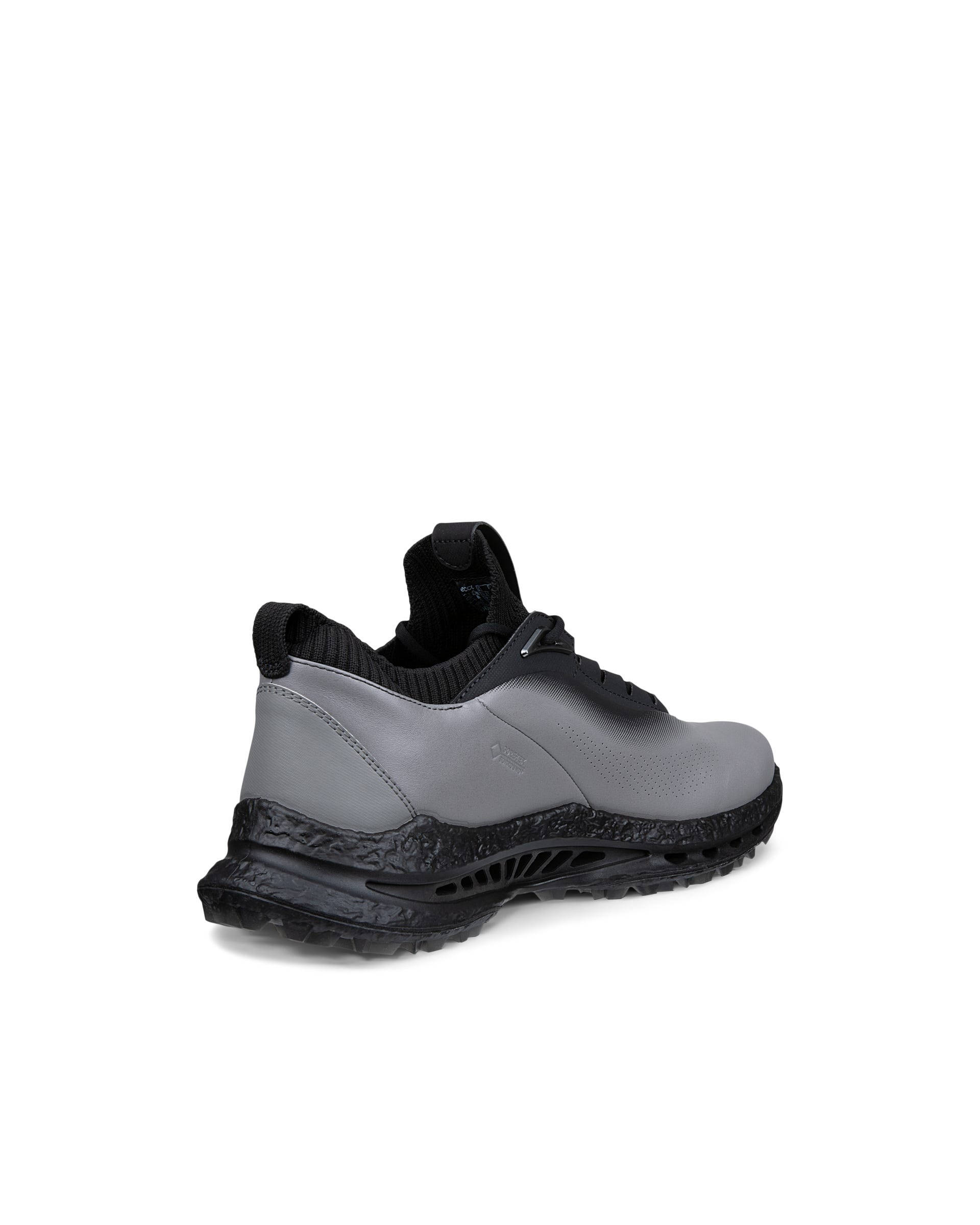 Men's ECCO® Golf Biom C5 Leather Gore-Tex Shoe